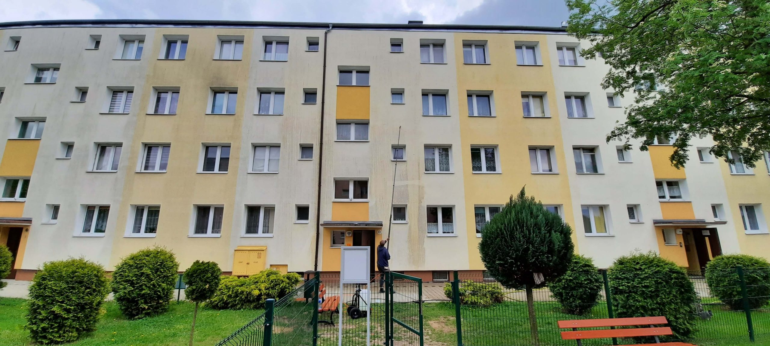 Czyszcenie elewacji z grzybów i mchu