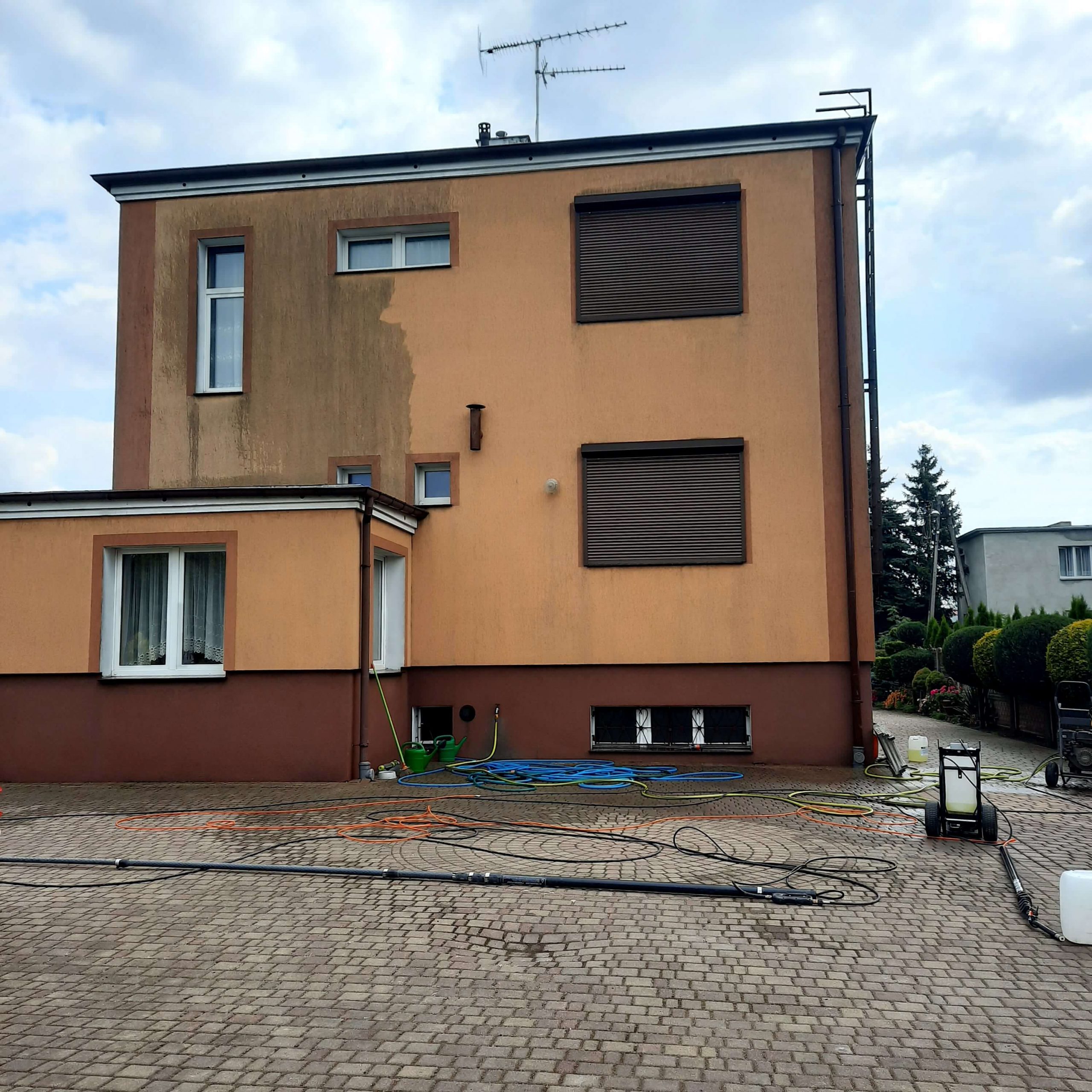 mycie elewacji z grzybów