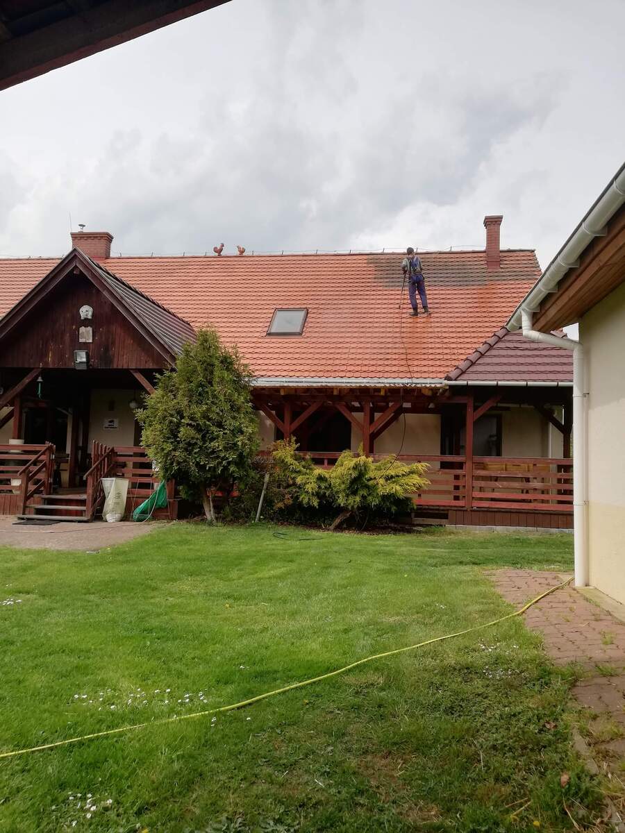 mycie elewacji z grzybów